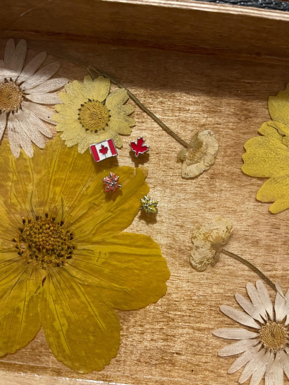 Origami Owl Red & Silver Canadian Flag and Maple Leaf charms